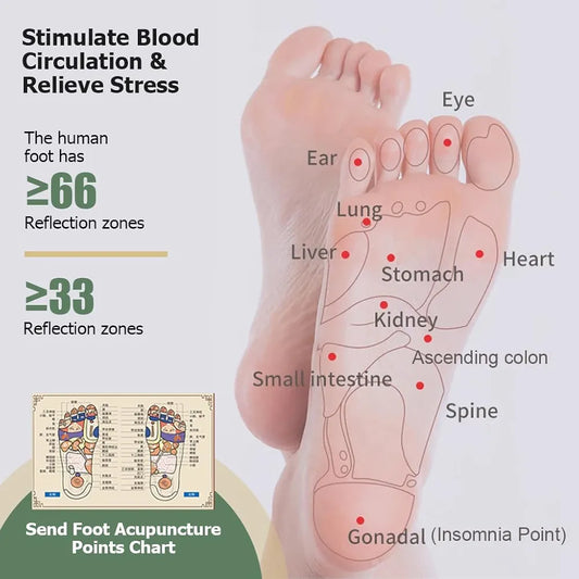 Portable Double Foot Massage Roller